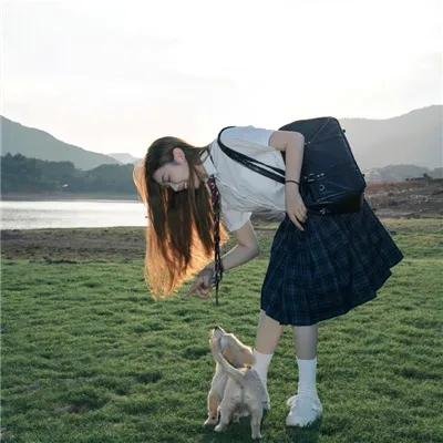 梦幻书院第七季